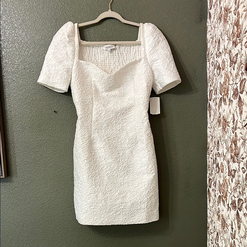 Elliot Feminise mini dress puff sleeve dress from Nordstrom